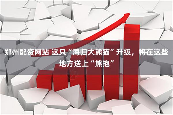 郑州配资网站 这只“海归大熊猫”升级，将在这些地方送上“熊抱”