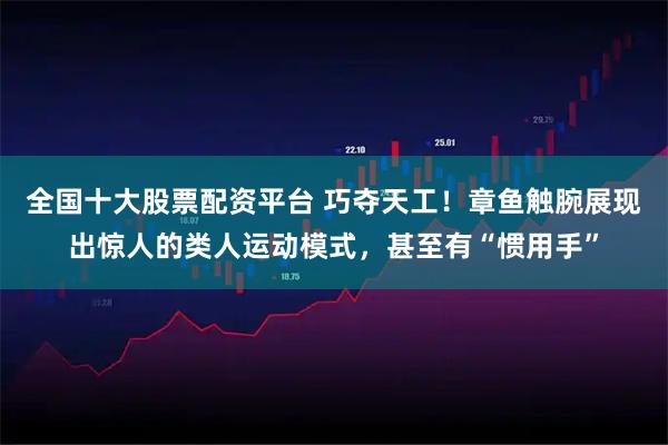 全国十大股票配资平台 巧夺天工！章鱼触腕展现出惊人的类人运动模式，甚至有“惯用手”