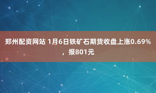 郑州配资网站 1月6日铁矿石期货收盘上涨0.69%，报801元
